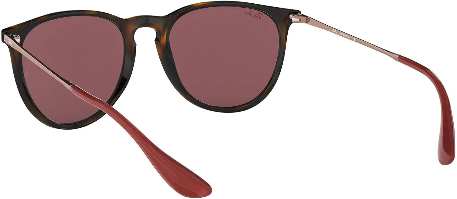 Ray-Ban RB4171 Erika Round Sunglasses