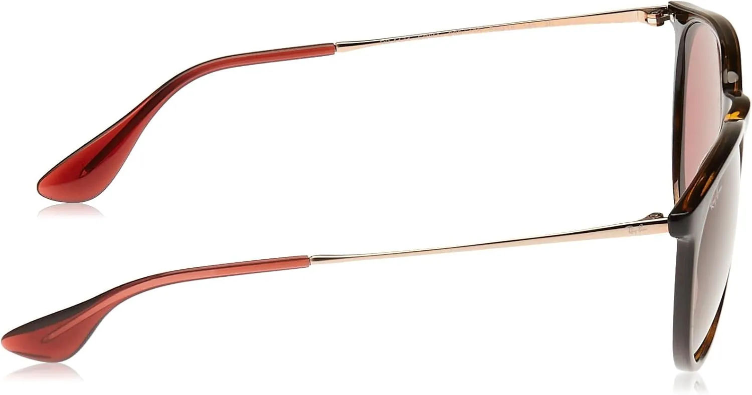 Ray-Ban RB4171 Erika Round Sunglasses