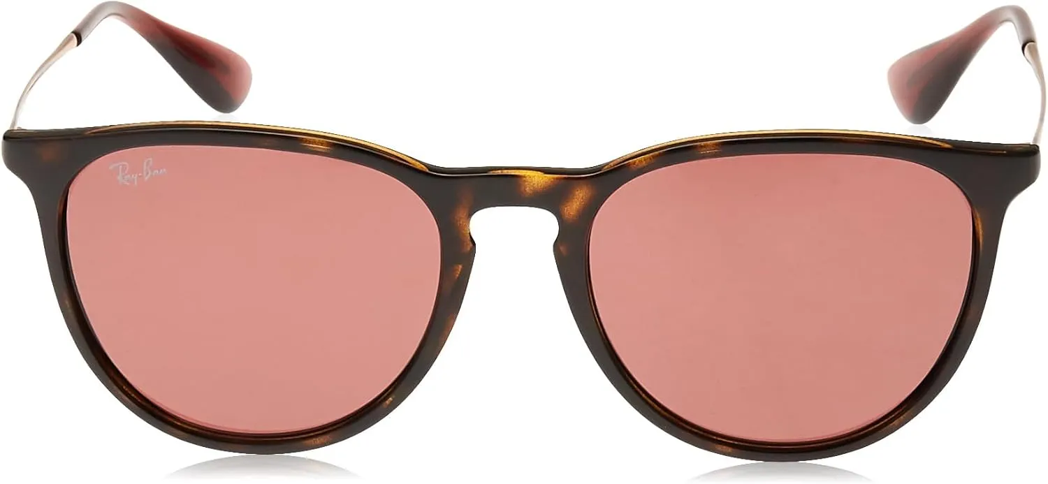 Ray-Ban RB4171 Erika Round Sunglasses