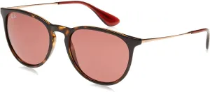 Ray-Ban RB4171 Erika Round Sunglasses
