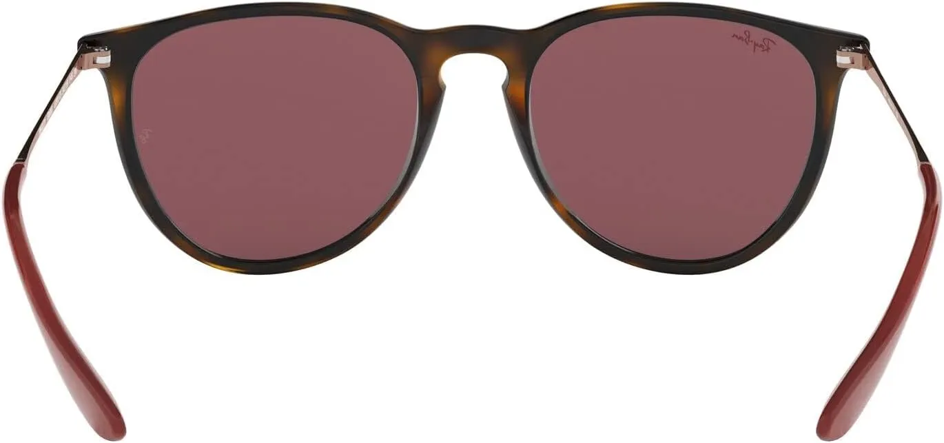 Ray-Ban RB4171 Erika Round Sunglasses