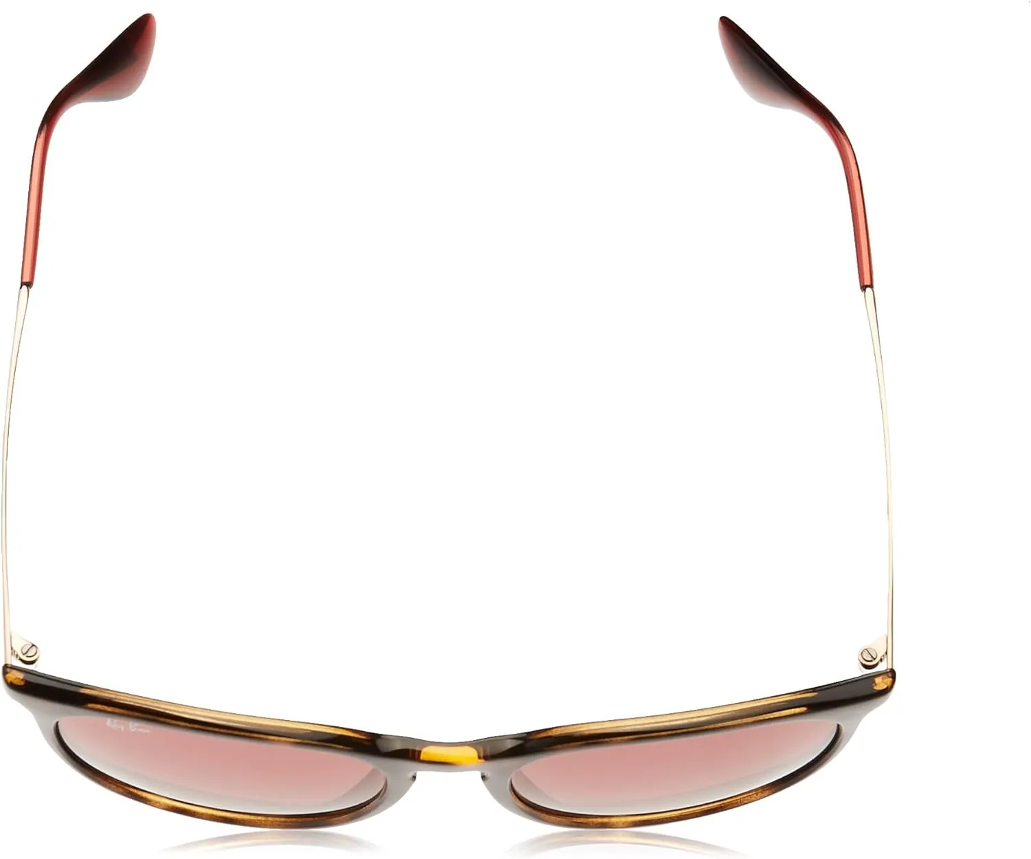 Ray-Ban RB4171 Erika Round Sunglasses